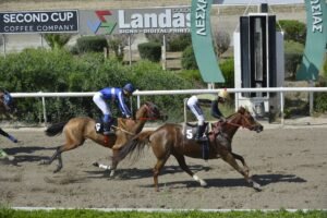 ΙΠΠΟΔΡΟΜΟΣ ΚΥΠΡΟΣ / IPPODROMOS KYPROS CALIFORNIA ΚΑΛΙΦΟΡΝΙΑ - 01/06/2025