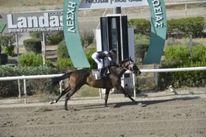 ΑΝΣΤΟΠΑΠΟΛ - 25/06/2025 - ΙΠΠΟΔΡΟΜΟΣ ΚΥΠΡΟΣ / IPPODROMOS KYPROS