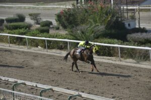 ΙΠΠΟΔΡΟΜΟΣ ΚΥΠΡΟΣ / IPPODROMOS KYPROS ΜΑΡΜΑΡΑΣ - 13/06/2025