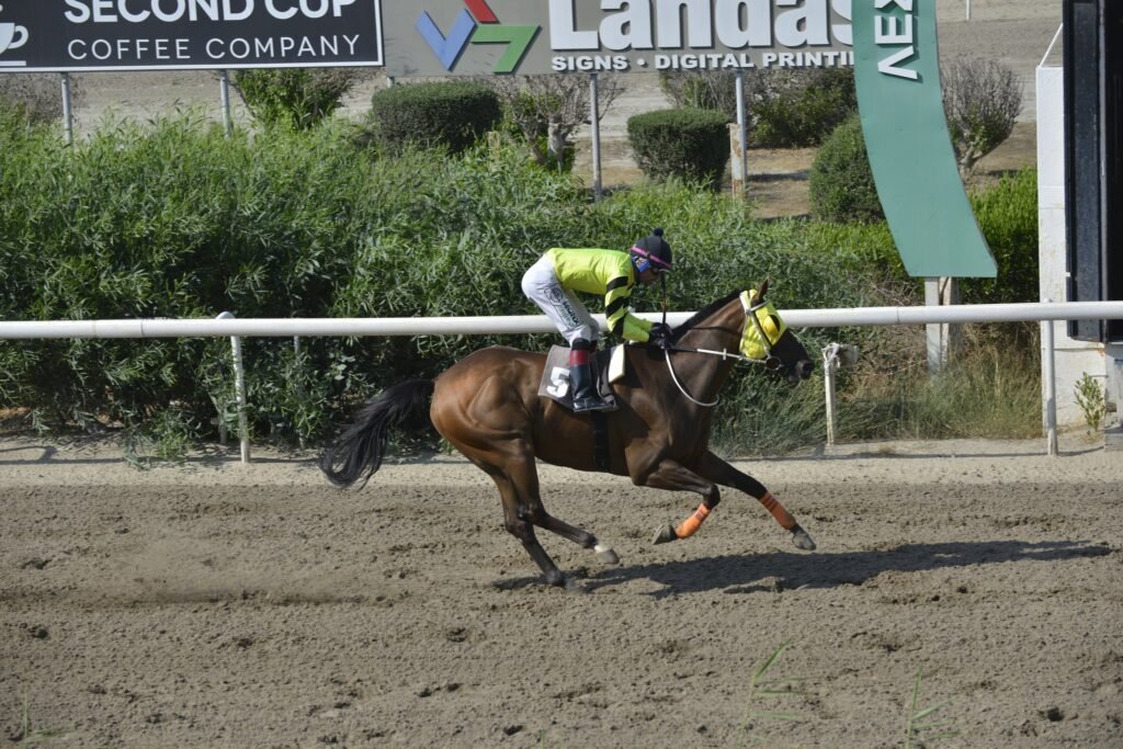 Διπλή επιτυχία ο Λοΐζος Λοΐζου 2 ΙΠΠΟΔΡΟΜΟΣ ΚΥΠΡΟΣ / IPPODROMOS KYPROS