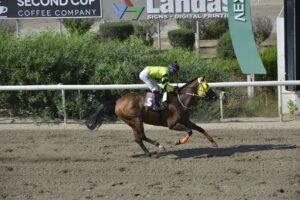 ΙΠΠΟΔΡΟΜΟΣ ΚΥΠΡΟΣ / IPPODROMOS KYPROS ΜΑΡΜΑΡΑΣ - 13/06/2025