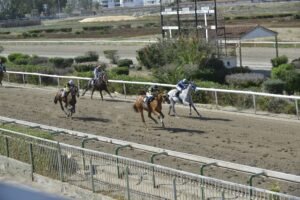 ΙΠΠΟΔΡΟΜΟΣ ΚΥΠΡΟΣ / IPPODROMOS KYPROS DRACO MALFOY ΝΤΡΕΗΚΟ ΜΑΛΦΟΗ - 01/06/2025