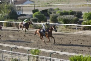 ΜΑΛΤΙΜΙΛΙΟΝΕΡ - 27/06/2025 - ΙΠΠΟΔΡΟΜΟΣ ΚΥΠΡΟΣ / IPPODROMOS KYPROS