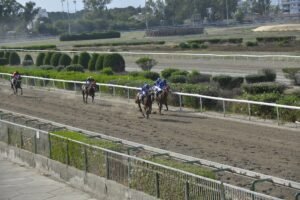 ΙΠΠΟΔΡΟΜΟΣ ΚΥΠΡΟΣ / IPPODROMOS KYPROS TRIPTOLEMOS ΤΡΙΠΤΟΛΕΜΟΣ - 06/06/2025