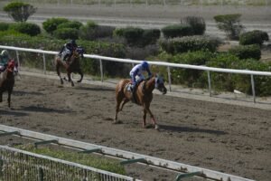 ΙΠΠΟΔΡΟΜΟΣ ΚΥΠΡΟΣ / IPPODROMOS KYPROS ZINGOLO ΖΙΓΚΟΛΟ - 04/06/2025