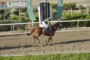 ΜΑΛΤΙΜΙΛΙΟΝΕΡ - 27/06/2025 - ΙΠΠΟΔΡΟΜΟΣ ΚΥΠΡΟΣ / IPPODROMOS KYPROS