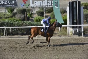 ΟΔΥΣΣΕΑΣ - 25/06/2025 - ΙΠΠΟΔΡΟΜΟΣ ΚΥΠΡΟΣ / IPPODROMOS KYPROS