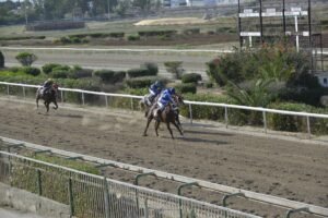 ΙΠΠΟΔΡΟΜΟΣ ΚΥΠΡΟΣ / IPPODROMOS KYPROS TRIPTOLEMOS ΤΡΙΠΤΟΛΕΜΟΣ - 06/06/2025