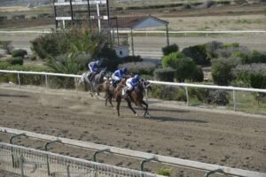 ΙΠΠΟΔΡΟΜΟΣ ΚΥΠΡΟΣ / IPPODROMOS KYPROS TRIPTOLEMOS ΤΡΙΠΤΟΛΕΜΟΣ - 06/06/2025