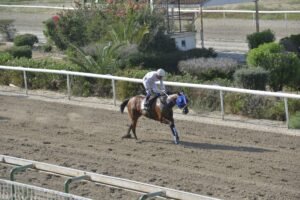 ΙΠΠΟΔΡΟΜΟΣ ΚΥΠΡΟΣ / IPPODROMOS KYPROS ΛΕΪΤΥ ΑΝΑΣΤΑΣΙΑ- 13/06/2025