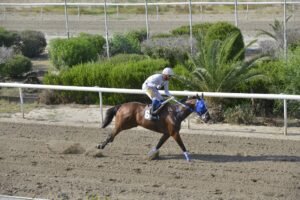 ΙΠΠΟΔΡΟΜΟΣ ΚΥΠΡΟΣ / IPPODROMOS KYPROS ΛΕΪΤΥ ΑΝΑΣΤΑΣΙΑ- 13/06/2025