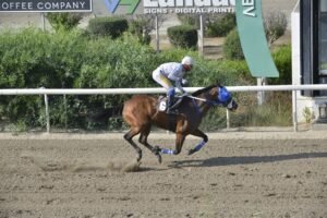 ΙΠΠΟΔΡΟΜΟΣ ΚΥΠΡΟΣ / IPPODROMOS KYPROS ΛΕΪΤΥ ΑΝΑΣΤΑΣΙΑ- 13/06/2025