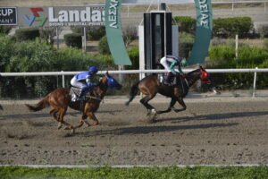 ΙΠΠΟΔΡΟΜΟΣ ΚΥΠΡΟΣ / IPPODROMOS KYPROS BLUE AKALIPTOS ΜΠΛΟΥ ΑΚΑΛΥΠΤΟΣ - 11/06/2025