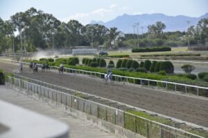 ΙΠΠΟΔΡΟΜΟΣ ΚΥΠΡΟΣ / IPPODROMOS KYPROS CEBERG ΑΗΣΜΠΕΡΓΚ - 01/06/2025