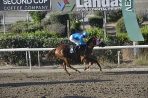 ΤΣΕΡΚΩΤΙΣΣΑ ΦΡΟΣΩ - 27/06/2025 - ΙΠΠΟΔΡΟΜΟΣ ΚΥΠΡΟΣ / IPPODROMOS KYPROS