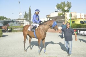 ΙΠΠΟΔΡΟΜΟΣ ΚΥΠΡΟΣ / IPPODROMOS KYPROS KAVI ΕΚΑΒΗ - 04/06/2025