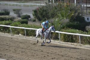 ΙΠΠΟΔΡΟΜΟΣ ΚΥΠΡΟΣ / IPPODROMOS KYPROS CEBERG ΑΗΣΜΠΕΡΓΚ - 01/06/2025