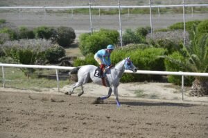 ΙΠΠΟΔΡΟΜΟΣ ΚΥΠΡΟΣ / IPPODROMOS KYPROS CEBERG ΑΗΣΜΠΕΡΓΚ - 01/06/2025