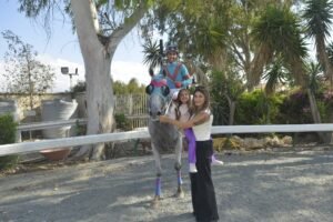 ΙΠΠΟΔΡΟΜΟΣ ΚΥΠΡΟΣ / IPPODROMOS KYPROS CEBERG ΑΗΣΜΠΕΡΓΚ - 01/06/2025