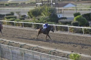 ΚΥΠΕΛΛΟ ΕΚΛΙΠΣ ΜΗΔΕΙΑ - 27/06/2025 - ΙΠΠΟΔΡΟΜΟΣ ΚΥΠΡΟΣ / IPPODROMOS KYPROS