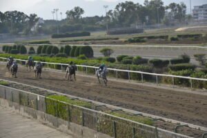 ΙΠΠΟΔΡΟΜΟΣ ΚΥΠΡΟΣ / IPPODROMOS KYPROS VENTO ANTONAKIS ΒΕΝΤΟ ΑΝΤΩΝΑΚΗΣ - 11/06/2025