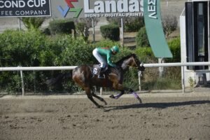 ΙΠΠΟΔΡΟΜΟΣ ΚΥΠΡΟΣ / IPPODROMOS KYPROS LADY WRITER ΛΕΙΤΥ ΡΑΙΤΕΡ - 01/06/2025