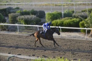 ΚΥΠΕΛΛΟ ΕΚΛΙΠΣ ΜΗΔΕΙΑ - 27/06/2025 - ΙΠΠΟΔΡΟΜΟΣ ΚΥΠΡΟΣ / IPPODROMOS KYPROS