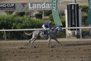 ΙΠΠΟΔΡΟΜΟΣ ΚΥΠΡΟΣ / IPPODROMOS KYPROS VENTO ANTONAKIS ΒΕΝΤΟ ΑΝΤΩΝΑΚΗΣ - 11/06/2025