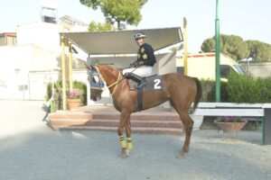 ΙΠΠΟΔΡΟΜΟΣ ΚΥΠΡΟΣ / IPPODROMOS KYPROS ΧΑΡΙΚΛΕΙΑ - 06/06/2025