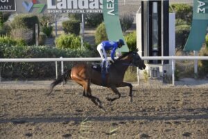 ΚΥΠΕΛΛΟ ΕΚΛΙΠΣ ΜΗΔΕΙΑ - 27/06/2025 - ΙΠΠΟΔΡΟΜΟΣ ΚΥΠΡΟΣ / IPPODROMOS KYPROS