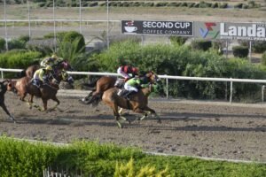 ΙΠΠΟΔΡΟΜΟΣ ΚΥΠΡΟΣ / IPPODROMOS KYPROS ΜΑΡΙ ΟΟΥ ΧΑΡΑ- 13/06/2025