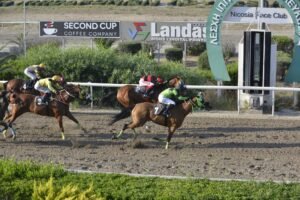 ΙΠΠΟΔΡΟΜΟΣ ΚΥΠΡΟΣ / IPPODROMOS KYPROS ΜΑΡΙ ΟΟΥ ΧΑΡΑ- 13/06/2025