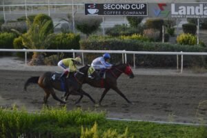 ΤΖΙΑΚΗΣ ΠΑΟΥΕΡ  - 27/06/2025 - ΙΠΠΟΔΡΟΜΟΣ ΚΥΠΡΟΣ / IPPODROMOS KYPROS