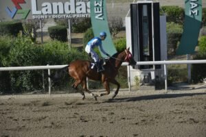 ΙΠΠΟΔΡΟΜΟΣ ΚΥΠΡΟΣ / IPPODROMOS KYPROS LIZARD ΛΙΖΑΡΝΤ - 01/06/2025