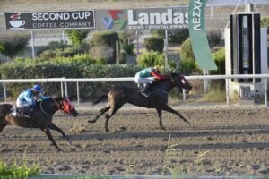 ΠΟΥΛΒΕΡ - 25/06/2025 - ΙΠΠΟΔΡΟΜΟΣ ΚΥΠΡΟΣ / IPPODROMOS KYPROS