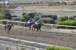 ΙΠΠΟΔΡΟΜΟΣ ΚΥΠΡΟΣ / IPPODROMOS KYPROS DIAMOND IASONAS ΝΤΑΗΑΜΟΝΤ ΙΑΣΩΝΑΣ - 04/06/2025