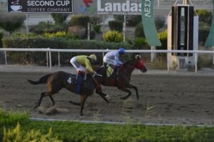 ΤΖΙΑΚΗΣ ΠΑΟΥΕΡ  - 27/06/2025 - ΙΠΠΟΔΡΟΜΟΣ ΚΥΠΡΟΣ / IPPODROMOS KYPROS