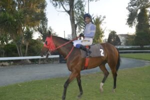 ΤΖΙΑΚΗΣ ΠΑΟΥΕΡ  - 27/06/2025 - ΙΠΠΟΔΡΟΜΟΣ ΚΥΠΡΟΣ / IPPODROMOS KYPROS