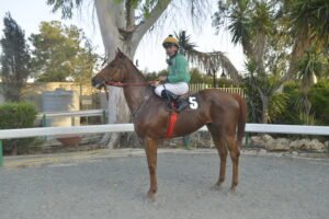 ΙΠΠΟΔΡΟΜΟΣ ΚΥΠΡΟΣ / IPPODROMOS KYPROS  MIKROS PANOS ΜΙΚΡΟΣ ΡΑΝΟΣ - 11/06/2025