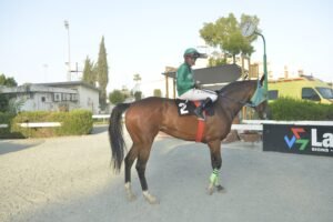 ΙΠΠΟΔΡΟΜΟΣ ΚΥΠΡΟΣ / IPPODROMOS KYPROS DIAMOND IASONAS ΝΤΑΗΑΜΟΝΤ ΙΑΣΩΝΑΣ - 04/06/2025