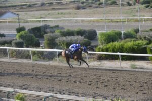 ΙΠΠΟΔΡΟΜΟΣ ΚΥΠΡΟΣ / IPPODROMOS KYPROS ΝΕΑΠΟΛΙΣ - 13/06/2025