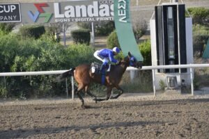 ΙΠΠΟΔΡΟΜΟΣ ΚΥΠΡΟΣ / IPPODROMOS KYPROS ΙΠΠΟΔΡΟΜΟΣ ΚΥΠΡΟΣ / IPPODROMOS KYPROS ΝΕΑΠΟΛΙΣ - 13/06/2025