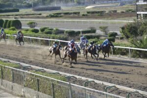 ΙΠΠΟΔΡΟΜΟΣ ΚΥΠΡΟΣ / IPPODROMOS KYPROS GALANOLEFKI ΓΑΛΑΝΟΛΕΥΚΗ - 01/06/2025