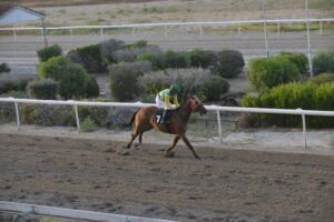 ΙΠΠΟΔΡΟΜΟΣ ΚΥΠΡΟΣ / IPPODROMOS KYPROS MELANIPPIDIS ΜΕΛΑΝΙΠΠΙΔΗΣ - 11/06/2025