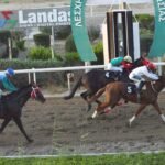 ΣΚΑI ΝΤΟΥΠΑI - 25/06/2025 - ΙΠΠΟΔΡΟΜΟΣ ΚΥΠΡΟΣ / IPPODROMOS KYPROS