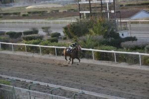 ΙΠΠΟΔΡΟΜΟΣ ΚΥΠΡΟΣ / IPPODROMOS KYPROS SWEET MILLIONAIRE ΣΟΥΗΤ ΜΙΛΙΟΝΕΡ - 04/06/2025