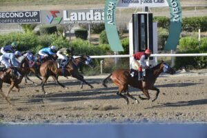 ΙΠΠΟΔΡΟΜΟΣ ΚΥΠΡΟΣ / IPPODROMOS KYPROS GALANOLEFKI ΓΑΛΑΝΟΛΕΥΚΗ - 01/06/2025