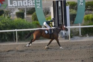 ΙΠΠΟΔΡΟΜΟΣ ΚΥΠΡΟΣ / IPPODROMOS KYPROS SWEET MILLIONAIRE ΣΟΥΗΤ ΜΙΛΙΟΝΕΡ - 04/06/2025