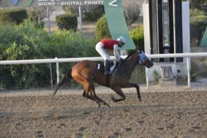 ΙΠΠΟΔΡΟΜΟΣ ΚΥΠΡΟΣ / IPPODROMOS KYPROS ΑΒΔΗΡΟΣ - 13/06/2025