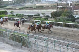 ΙΠΠΟΔΡΟΜΟΣ ΚΥΠΡΟΣ / IPPODROMOS KYPROS DIOCLES ΔΙΟΚΛΗΣ - 06/06/2025